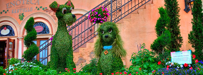 Festival Flores - Epcot