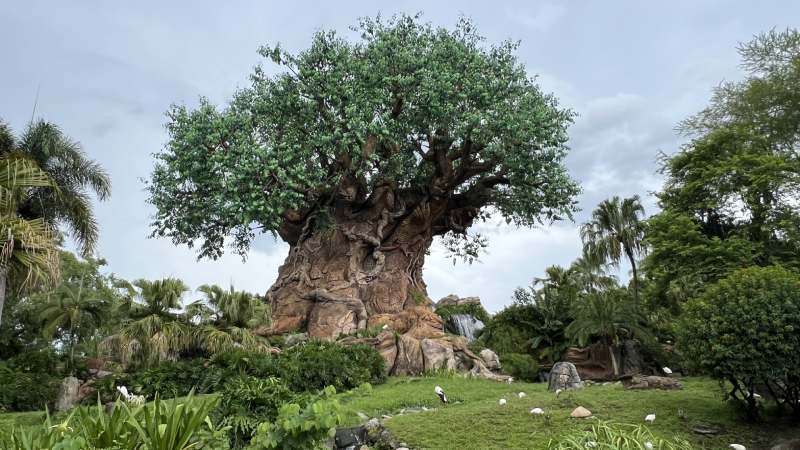 arbol-vida-2024