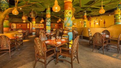 Sanaa - Animal Kingdom